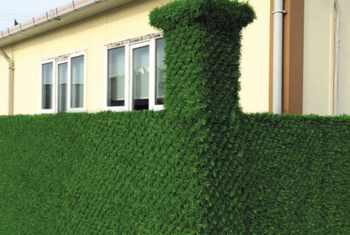 wall